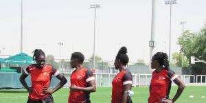 Lionesses 
