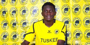 teddy osok