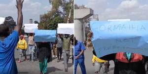 Collage image of Gor Mahia fans holding protests over club chairman Ambrose Rachier's Freemason claims on October 13 in Nairobi.