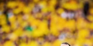 Zlatan Ibrahimovic in Sweden colours in 2016