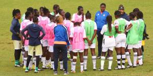 Bright Starlets 