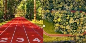 Michael Johnson track 