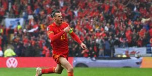 Wales international Gareth Bale cheers after Ukraine's own goal that brought an end to their 6 decade World Cup wait.