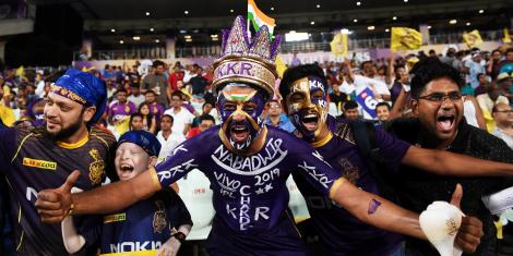 Cricket fans