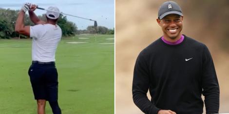 Tiger woods