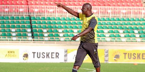 Robert Matano