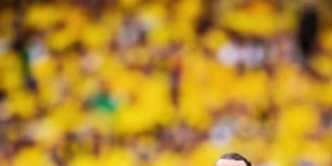 Zlatan Ibrahimovic in Sweden colours in 2016