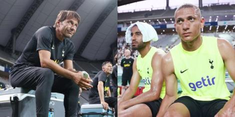 Conte